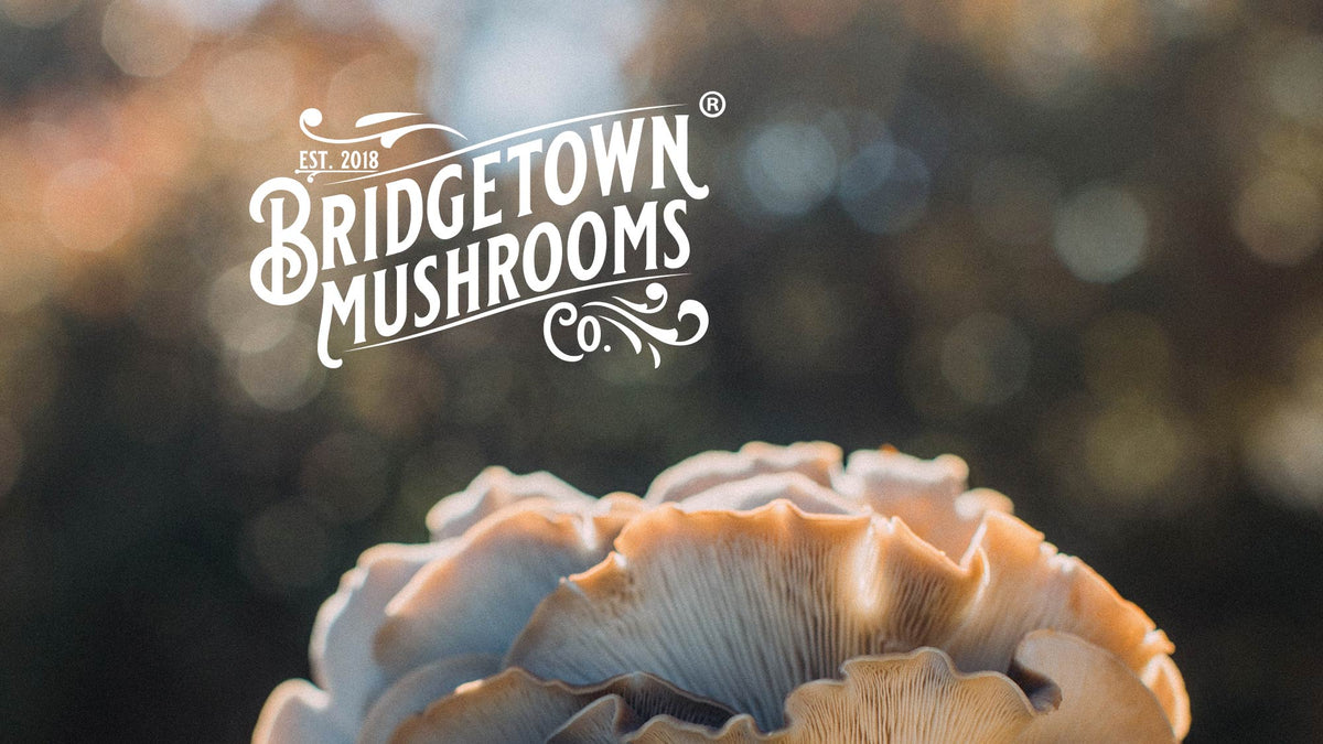 Bridgetown Mushrooms
