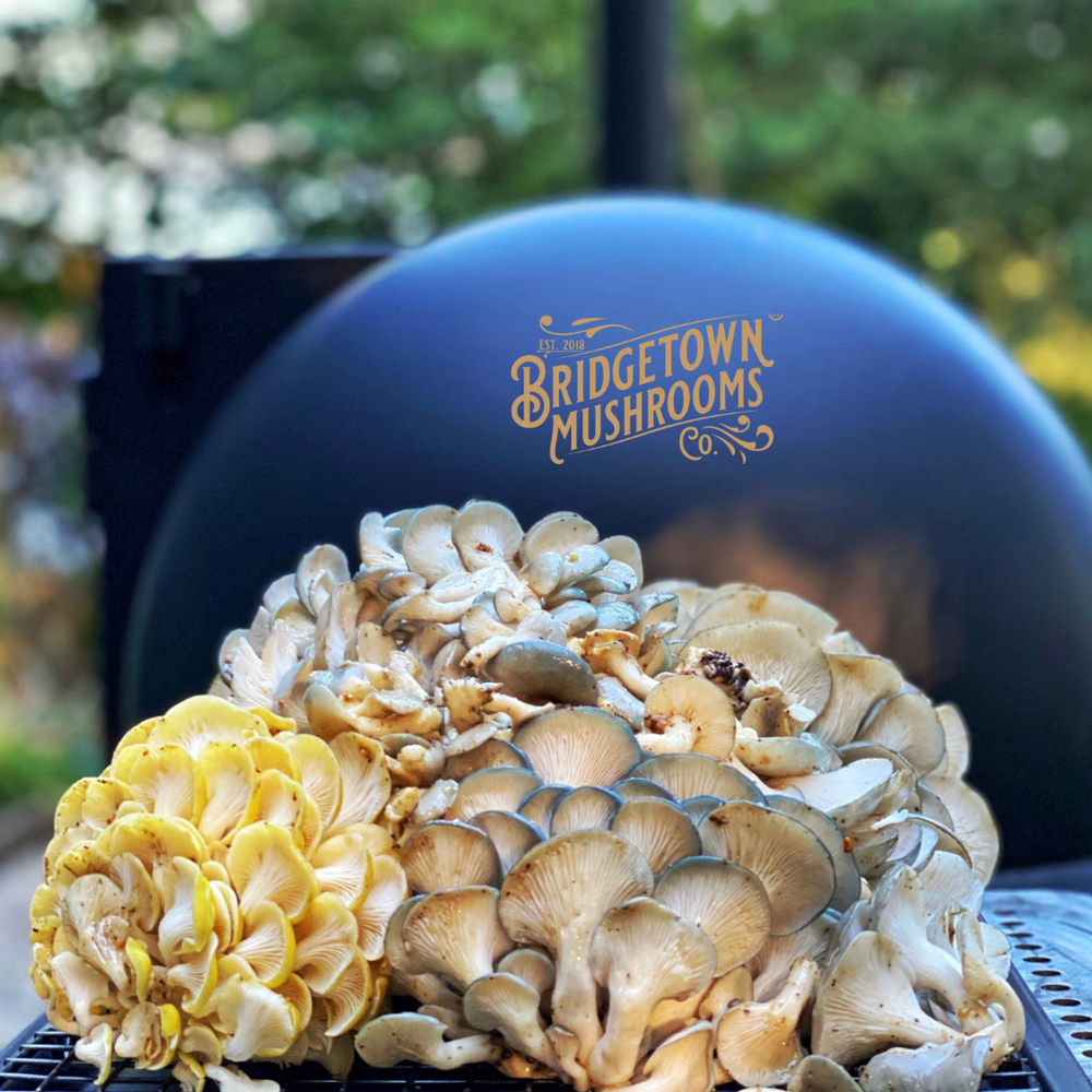 Smoked Oyster Mushroom Recipe