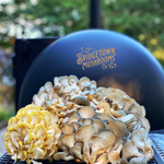 Smoked Oyster Mushrooms