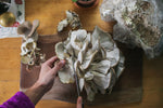 Cooking Mushrooms 101: To Dry Sauté or Not?