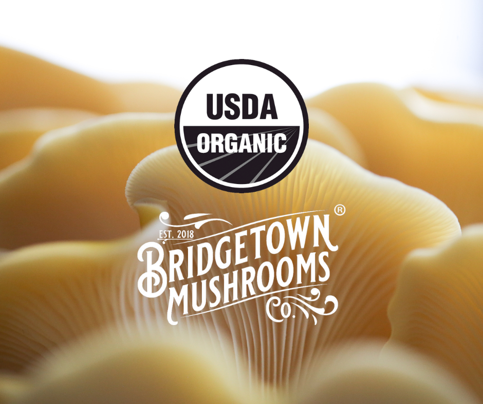 What it Means to be a Certified Organic Mushroom Farm