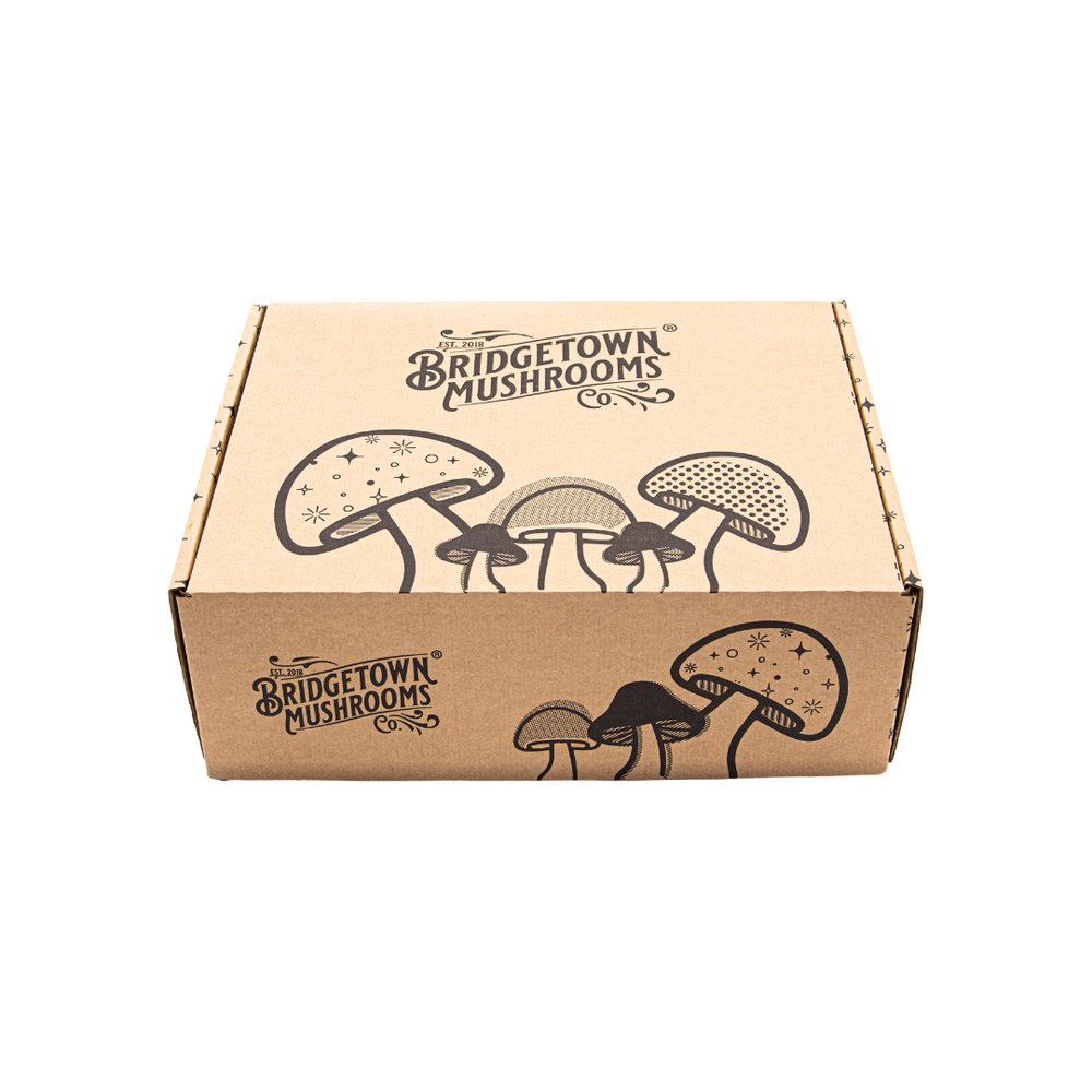 The Wonder Box Bridgetown Mushrooms