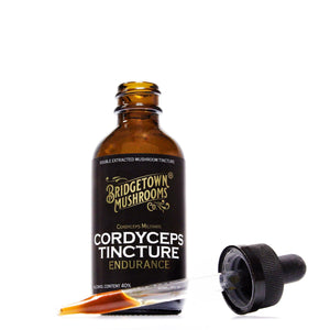 Cordyceps Tincture